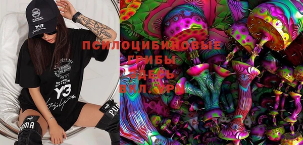 гидра Баксан