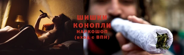 индика Арсеньев