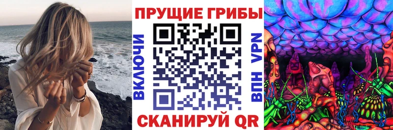 Галлюциногенные грибы Magic Shrooms  Купить закладки  Мыски 
